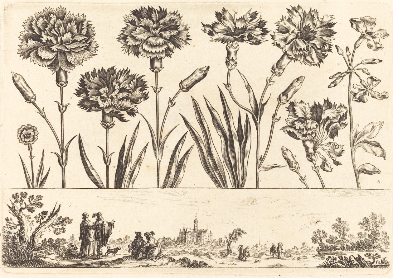 Impression de fleurs n°9 - Nicolas Cochin after Balthasar Moncornet
