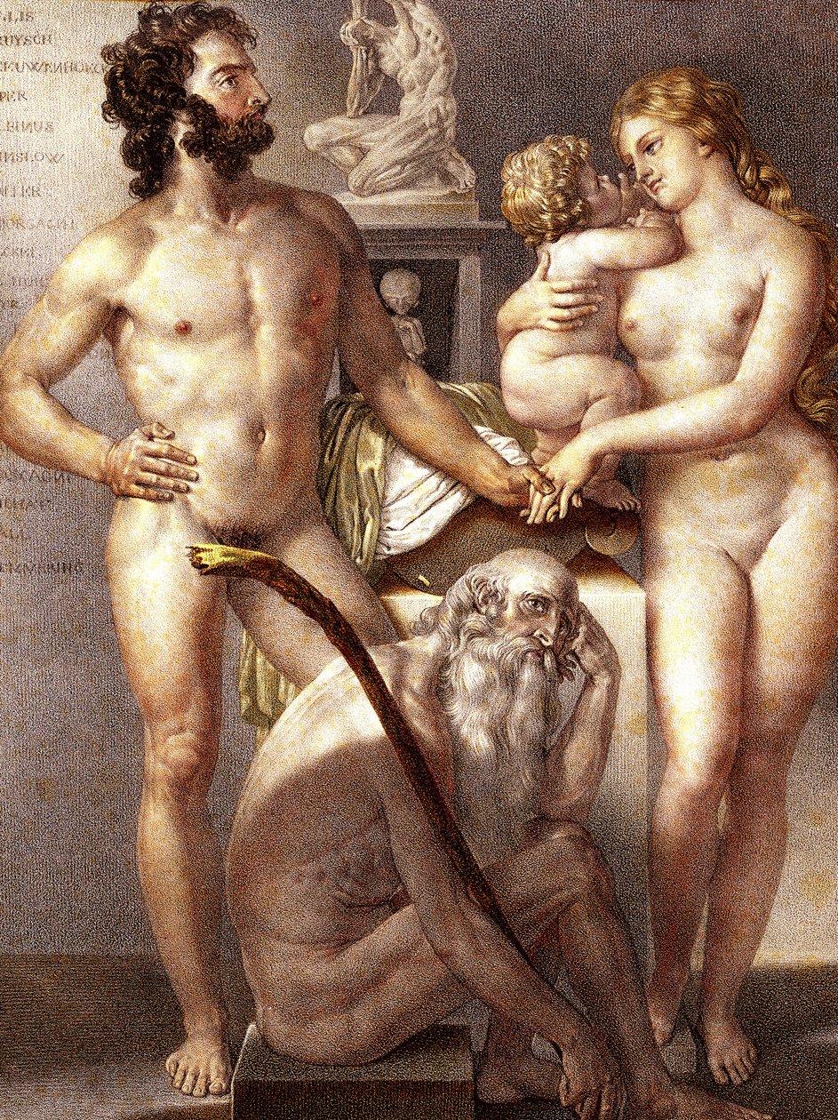 Anatomie de l