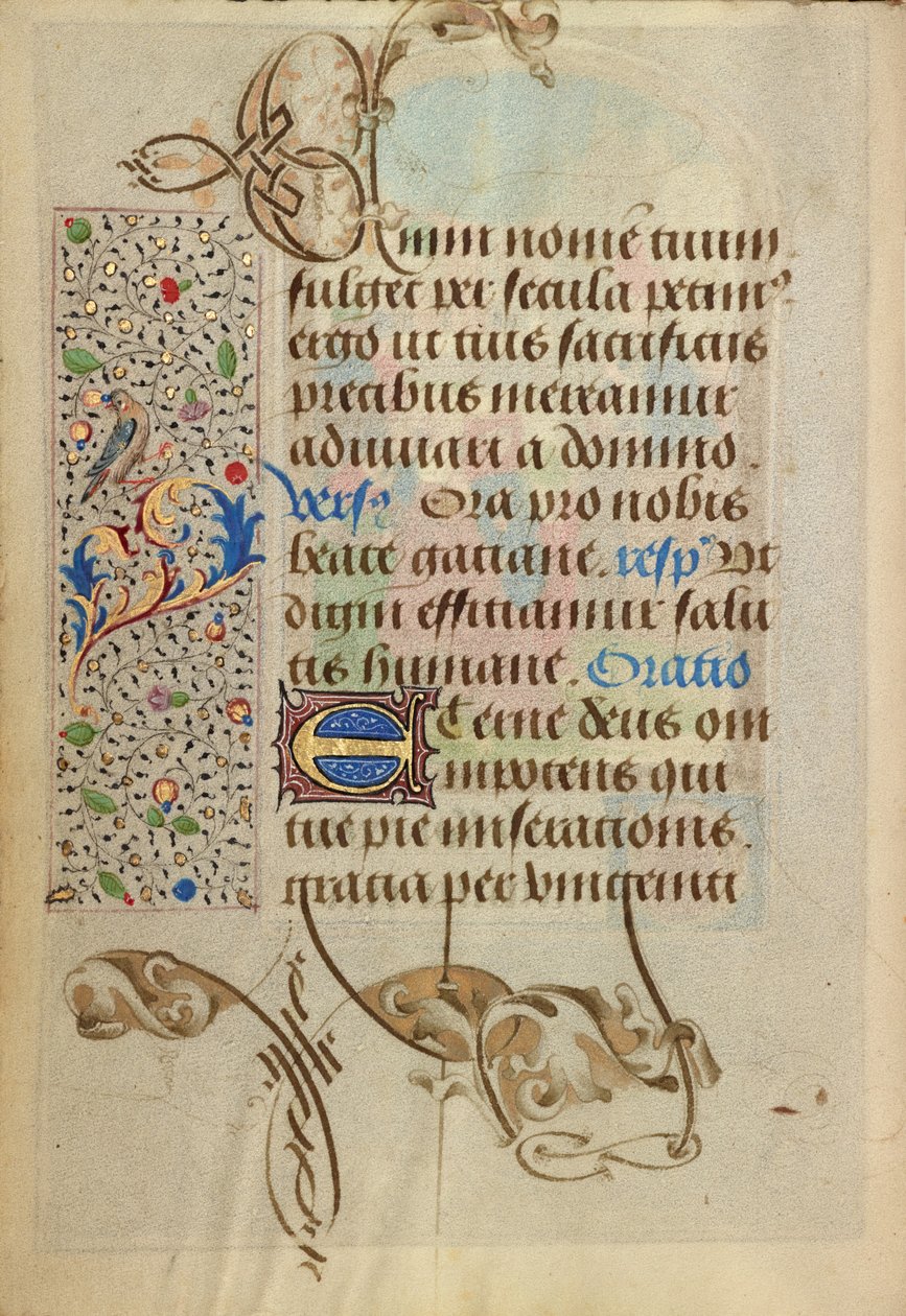 Page de texte décorée - Nicolas Spierinc