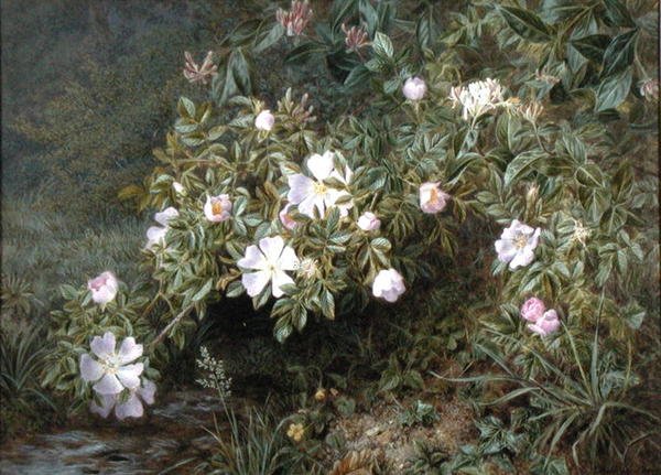Étude de roses sauvages, vers 1900 - Niels Pieter Rasmussen