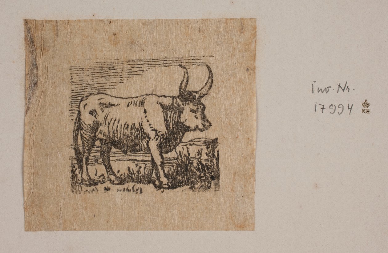 Un bœuf - Niels Skovgaard