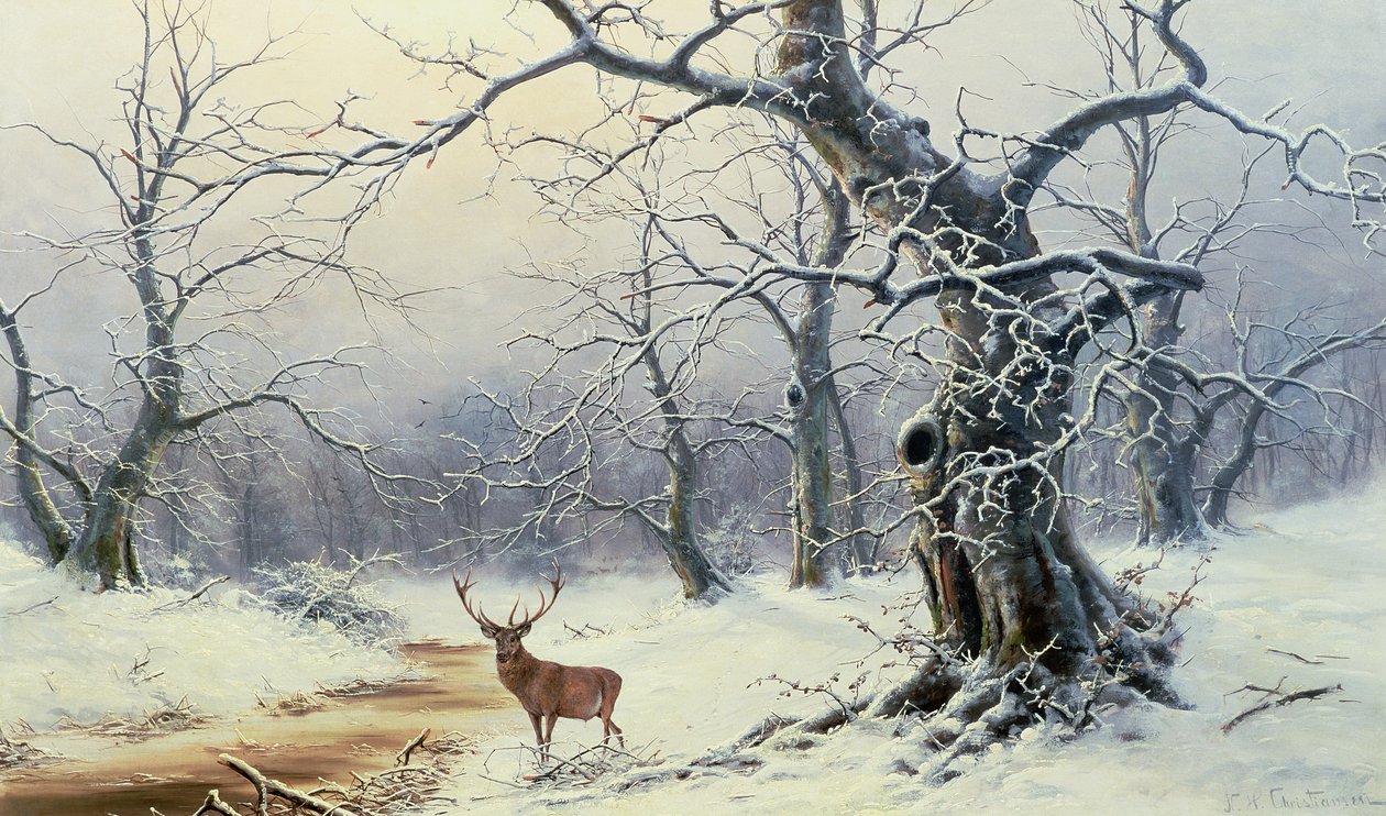 Image inconnue - Nils Hans Christiansen