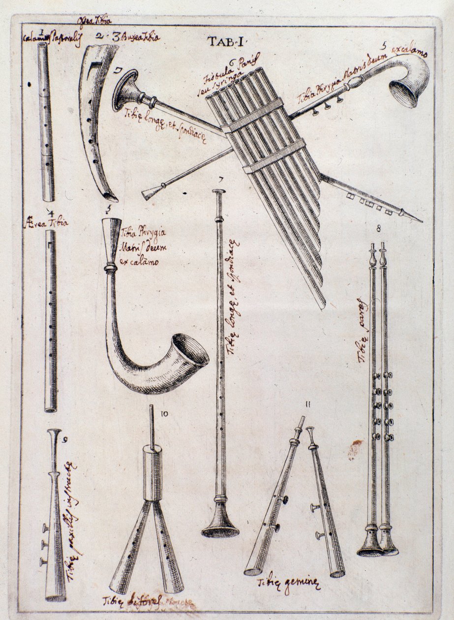 Instruments à vent. Page de « de Tribus Generibus Instrumentorum Musicae Veterum », ouvrage sur les anciens instruments par Francesco Bianchini - Northern Italian School