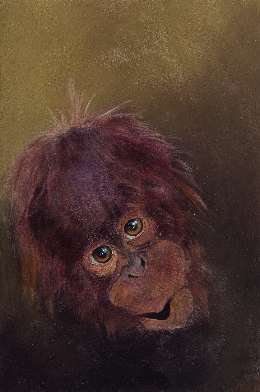 Bébé orang-outan 2, 2010 (acrylique sur bois) - Odile Kidd