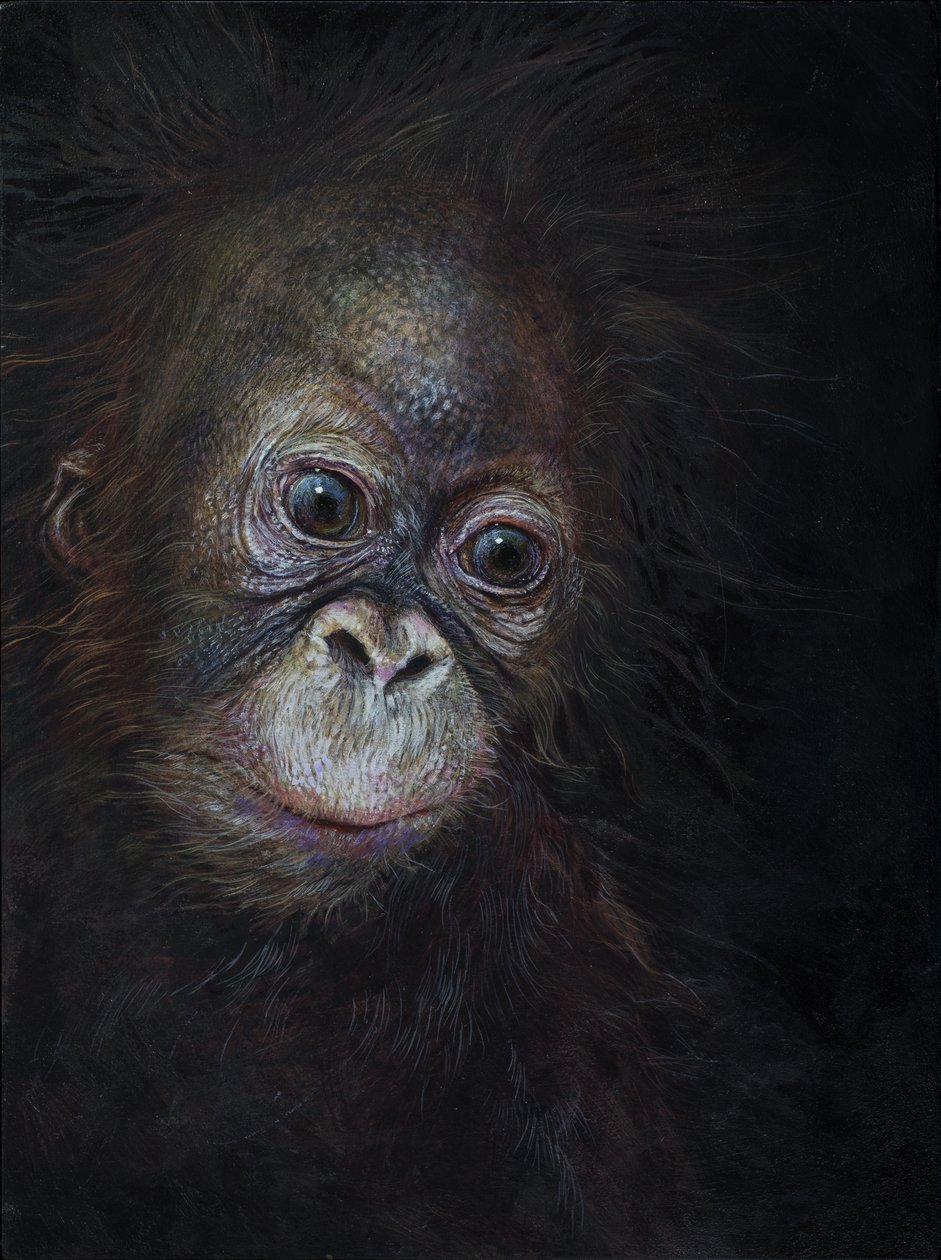 Bébé orang-outan 3, 2015 (acrylique sur bois) - Odile Kidd