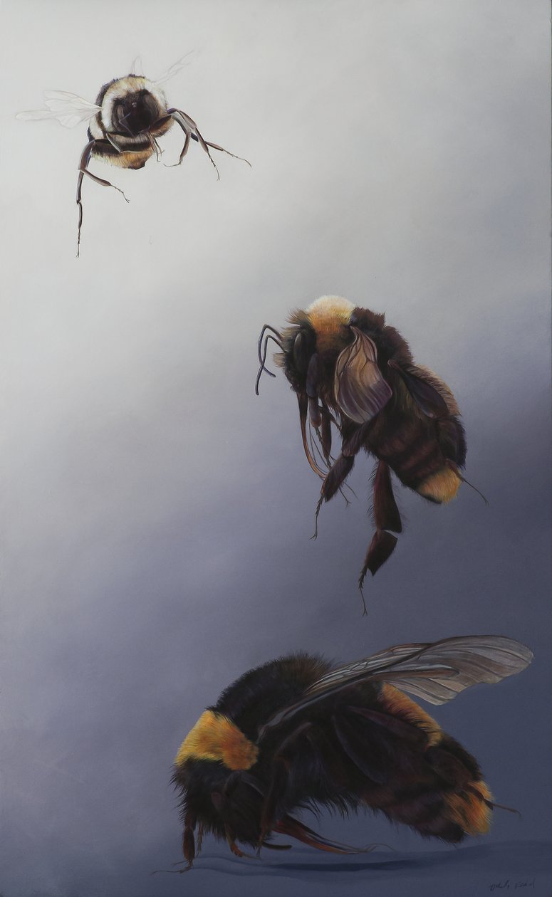 Bombus vol 2, 2011 (acrylique sur bois) - Odile Kidd
