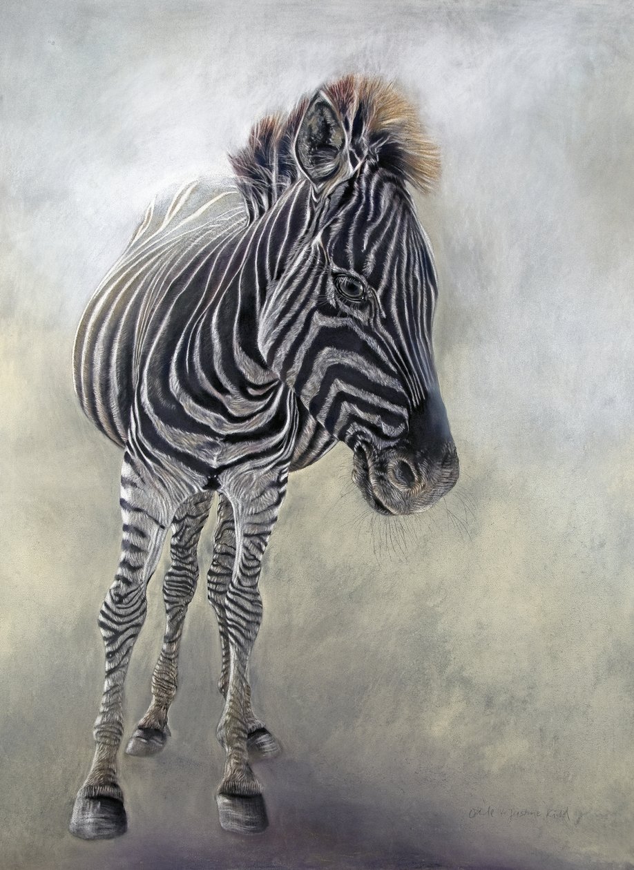 Equus burchelli 1, 2009 (fusain, conte et pastel à la craie sur papier Bockingford) - Odile Kidd