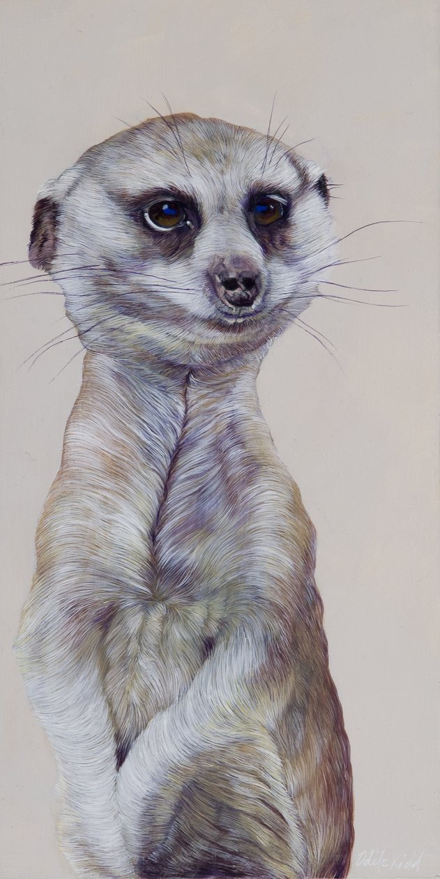 Suricate 1, 2009 (acrylique sur bois) - Odile Kidd