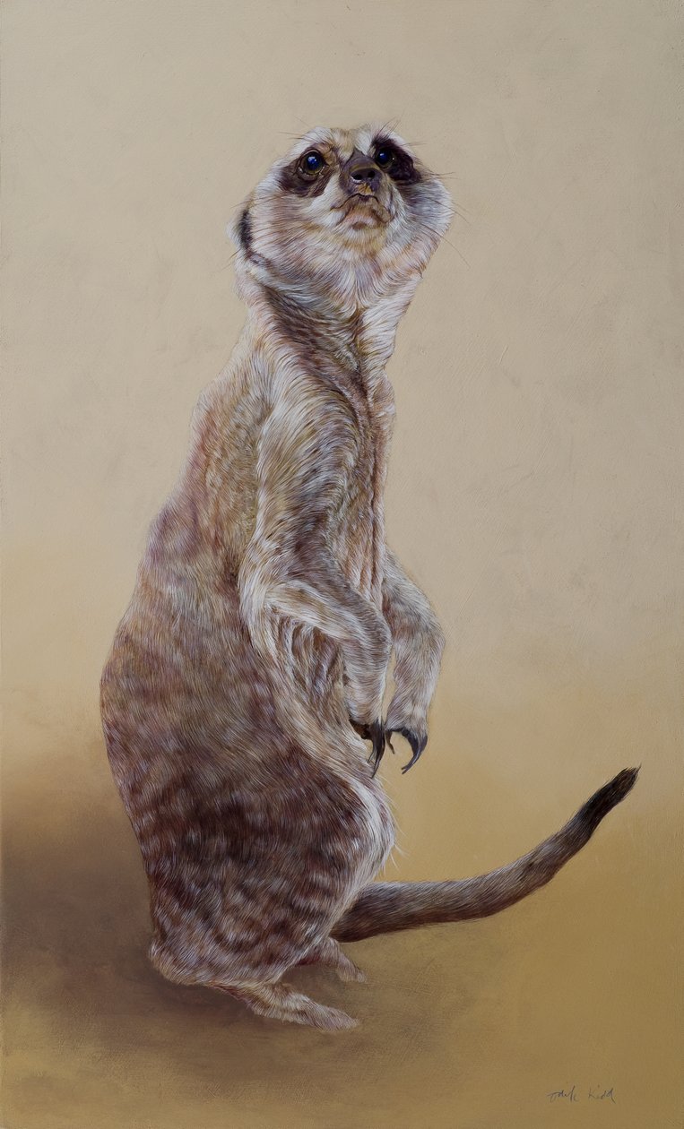 Suricate 2, 2010 (acrylique sur bois) - Odile Kidd