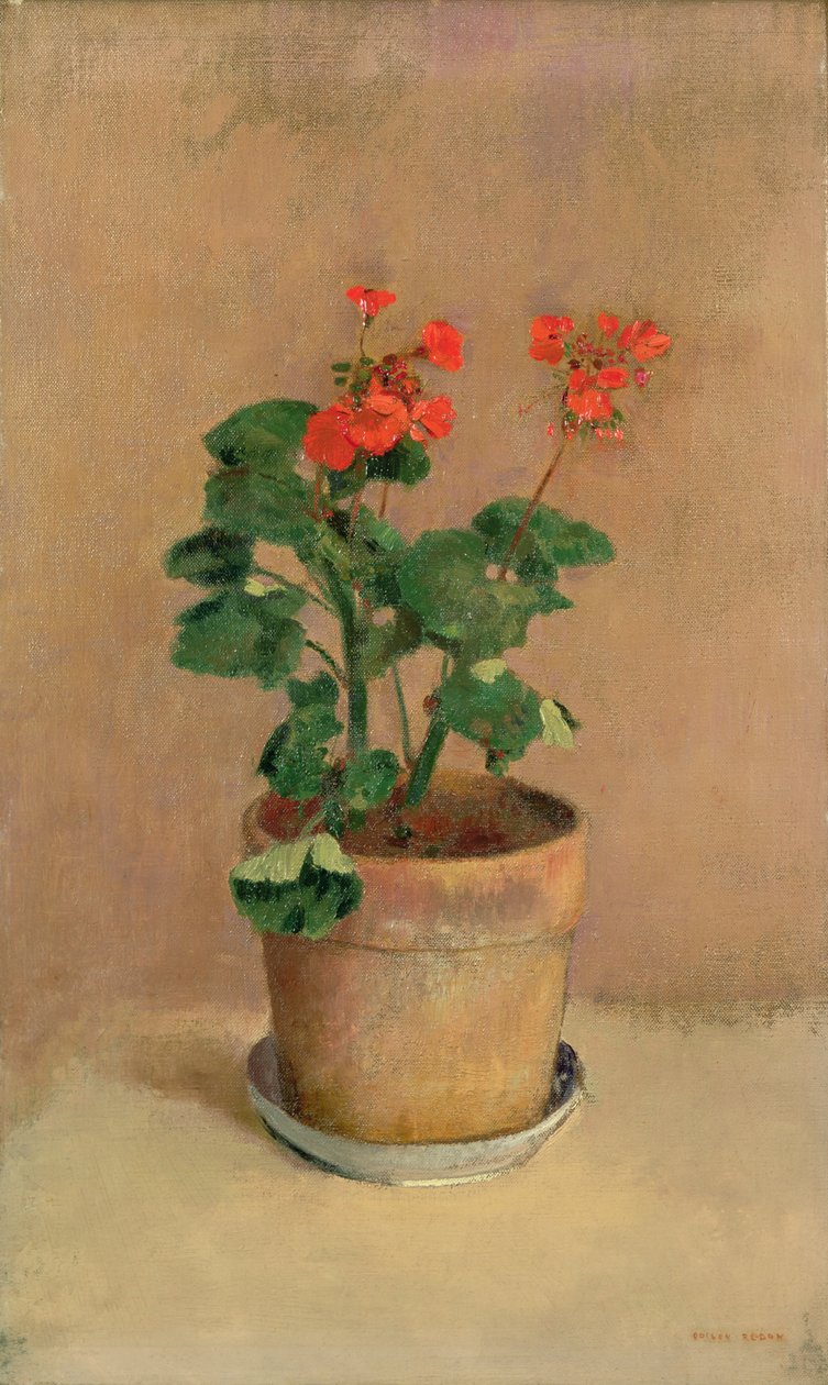 Géraniums en pot, vers 1905 - Odilon Redon