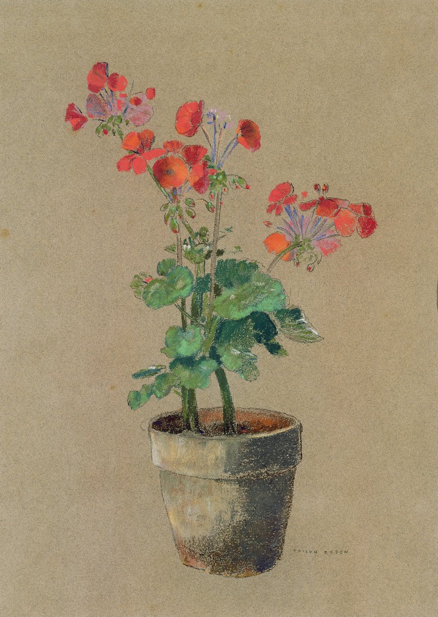 Géraniums en pot - Odilon Redon