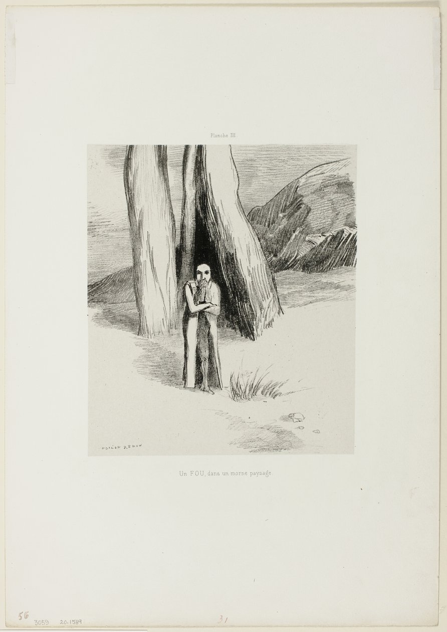 Un fou dans un paysage lugubre, planche 3 de 6 - Odilon Redon