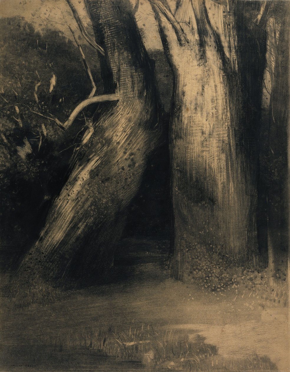 Deux arbres - Odilon Redon