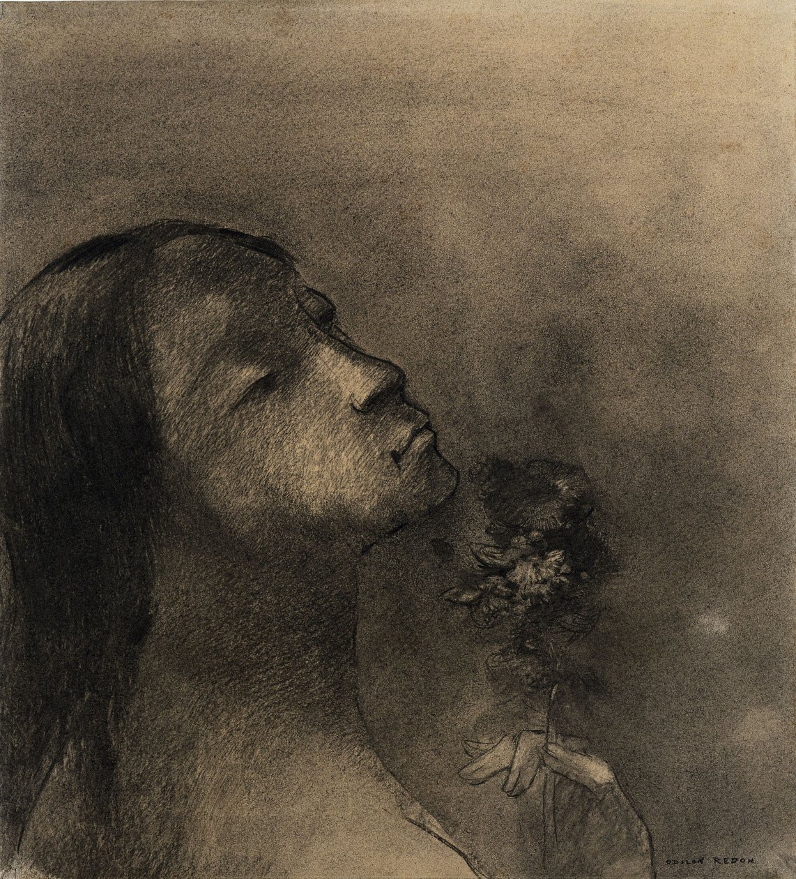 Fleur du mal - Odilon Redon