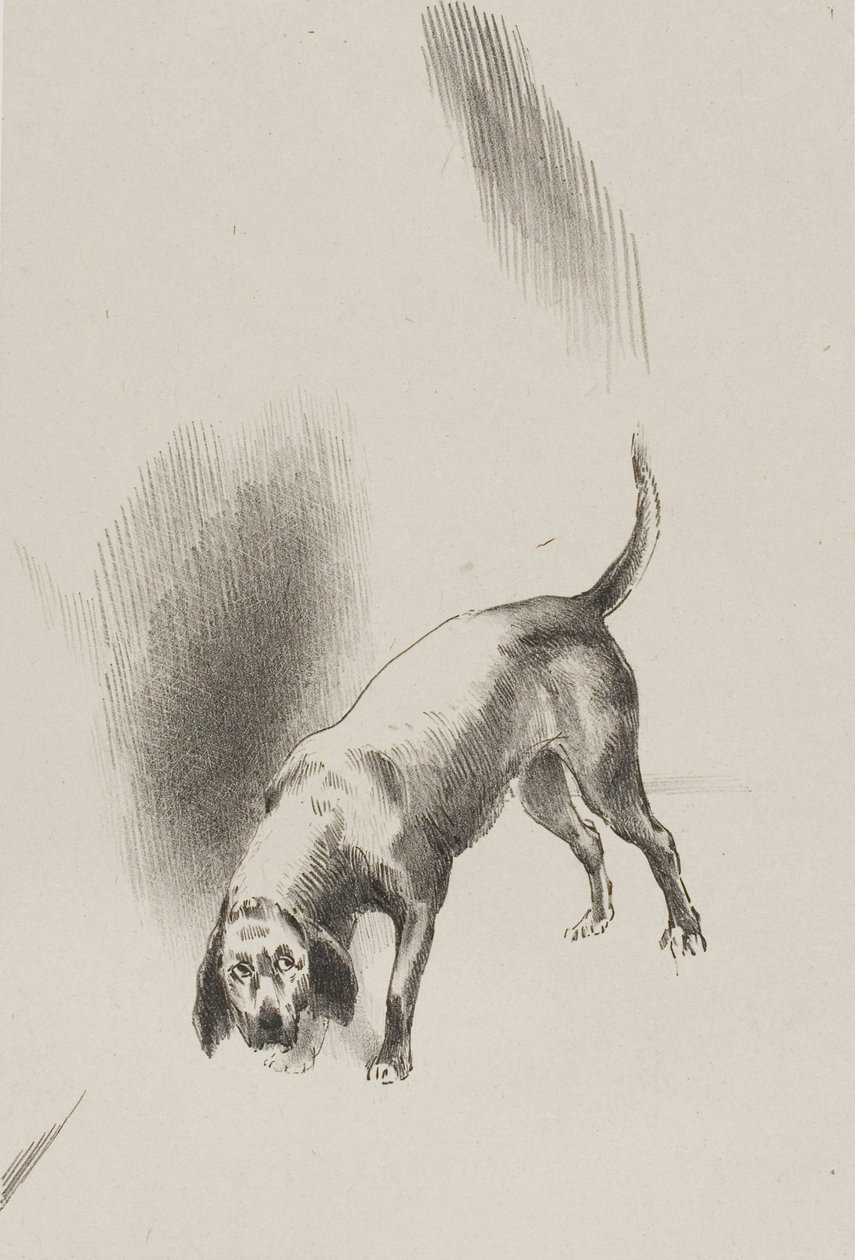 Il [le chien du narrateur] gardait les yeux fixés sur moi avec un regard si étrange, planche 3 de 6 - Odilon Redon