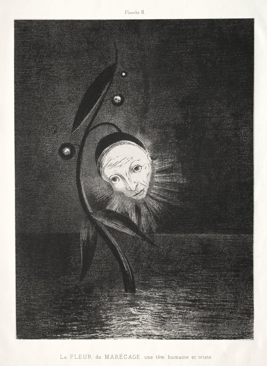 Hommage à Goya: La fleur des marais, une tête humaine triste, 1885 - Odilon Redon