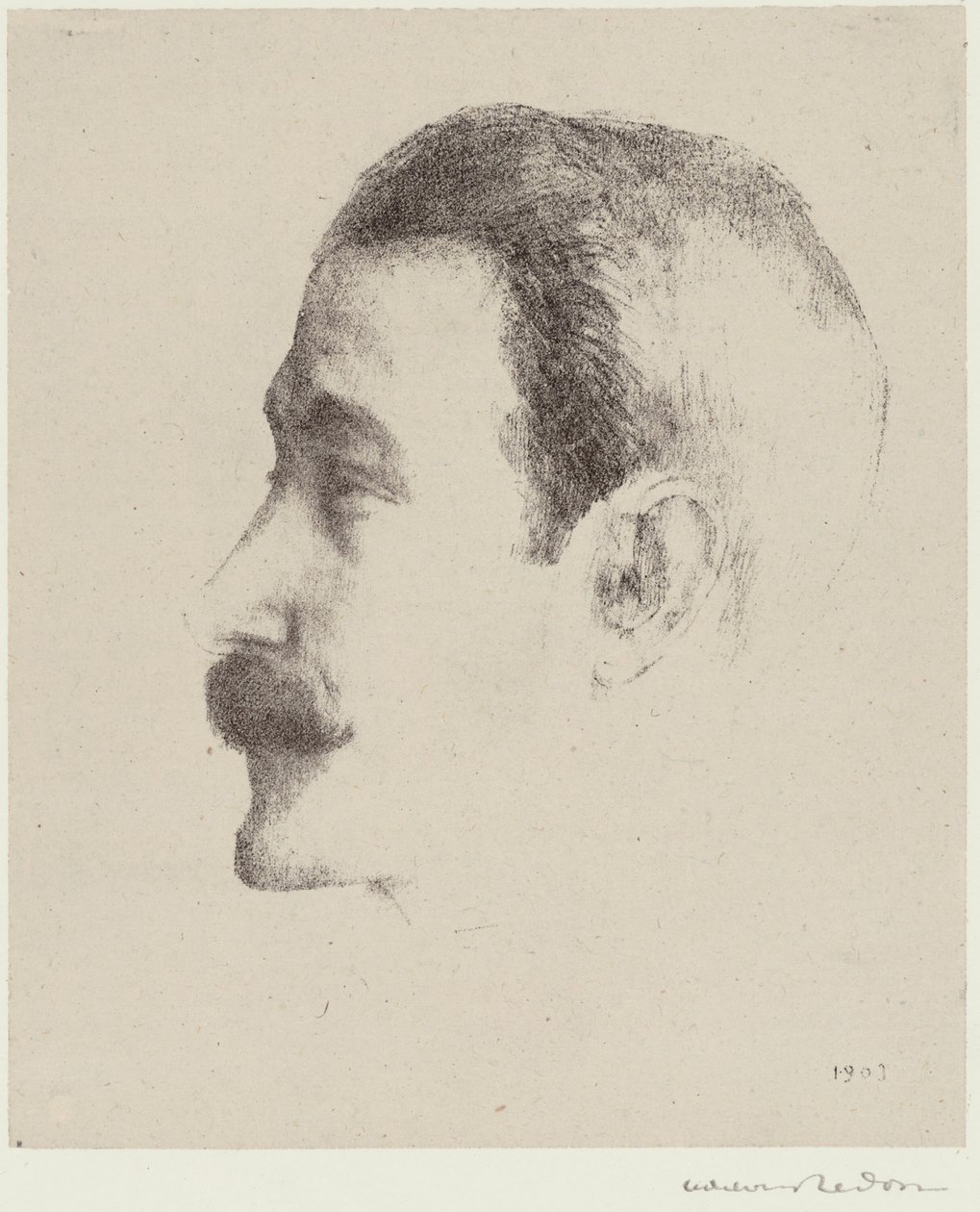 Ricardo Viñes - Odilon Redon