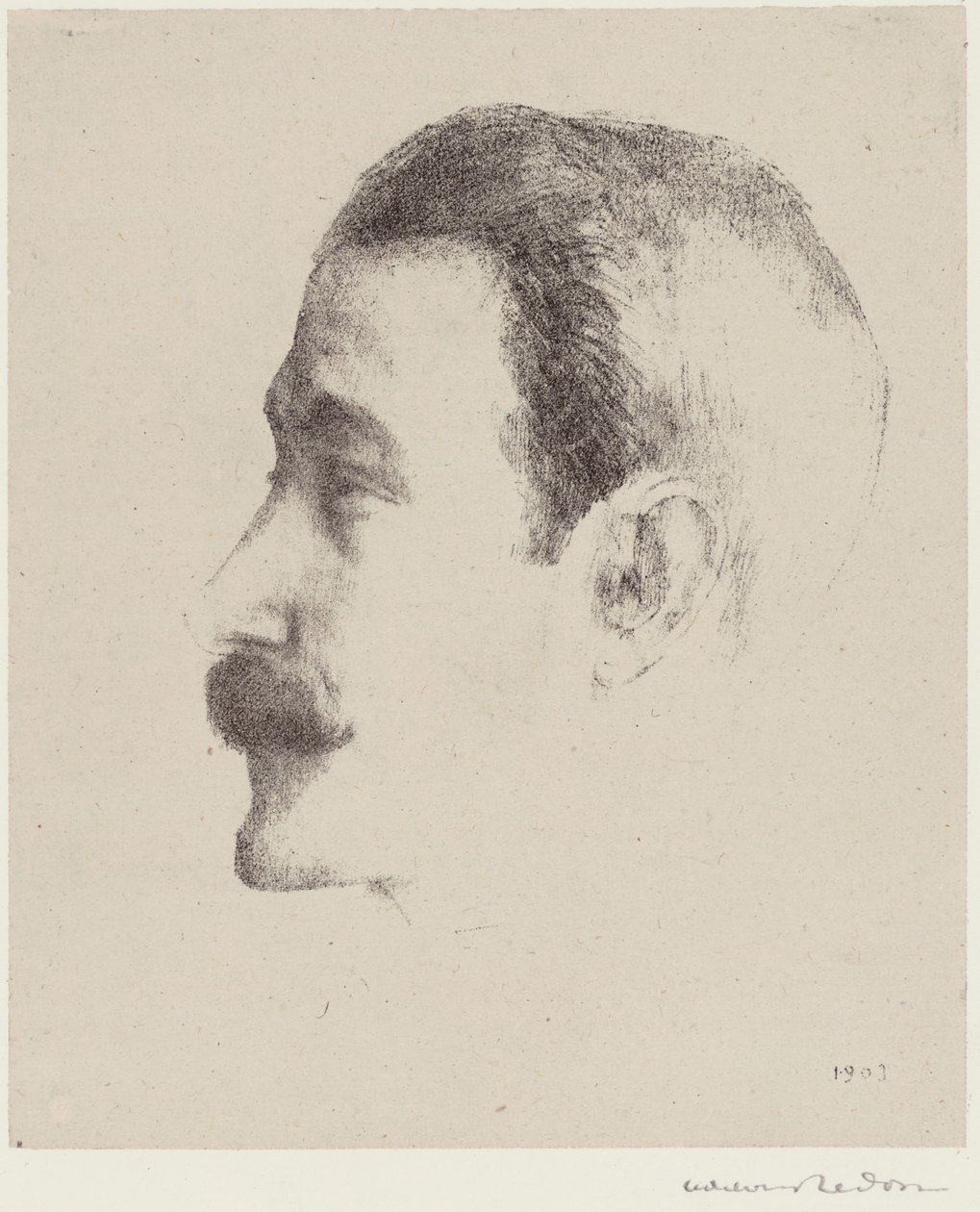 Ricardo Viñes - Odilon Redon