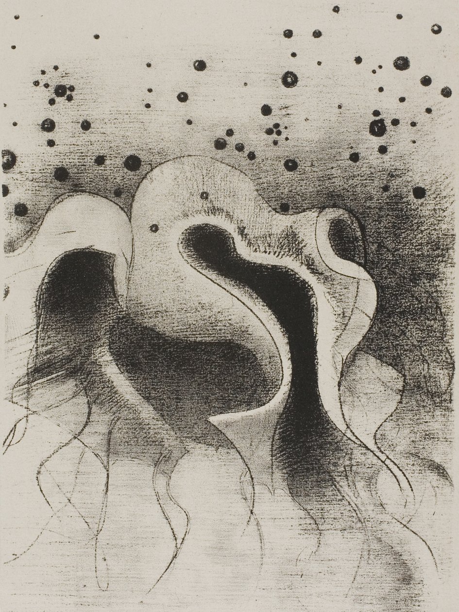 Les bêtes de la mer, rondes comme des bouteilles en cuir, planche 22 de 24 - Odilon Redon