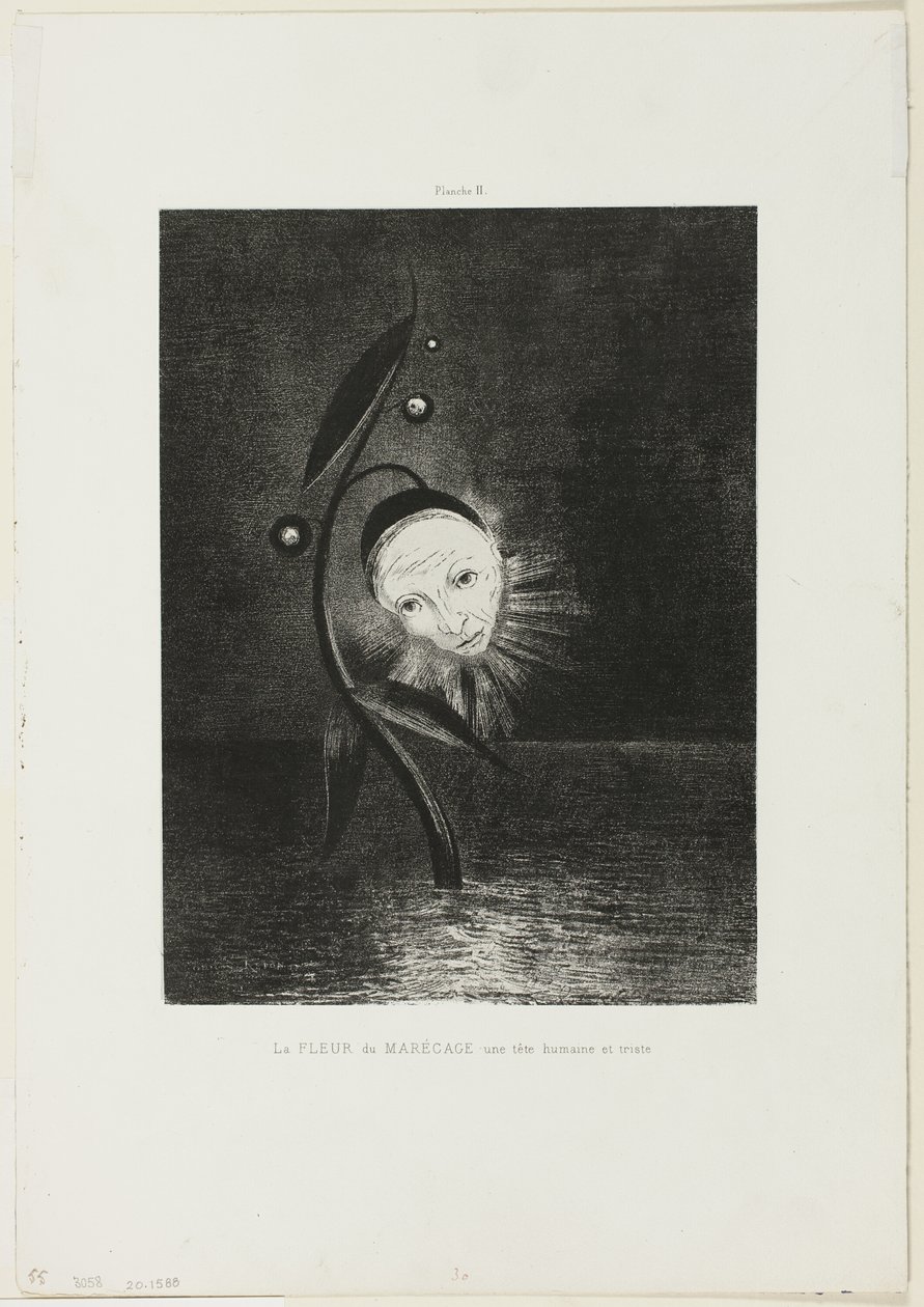 La fleur des marais, une tête humaine triste, planche 2 de 6 - Odilon Redon