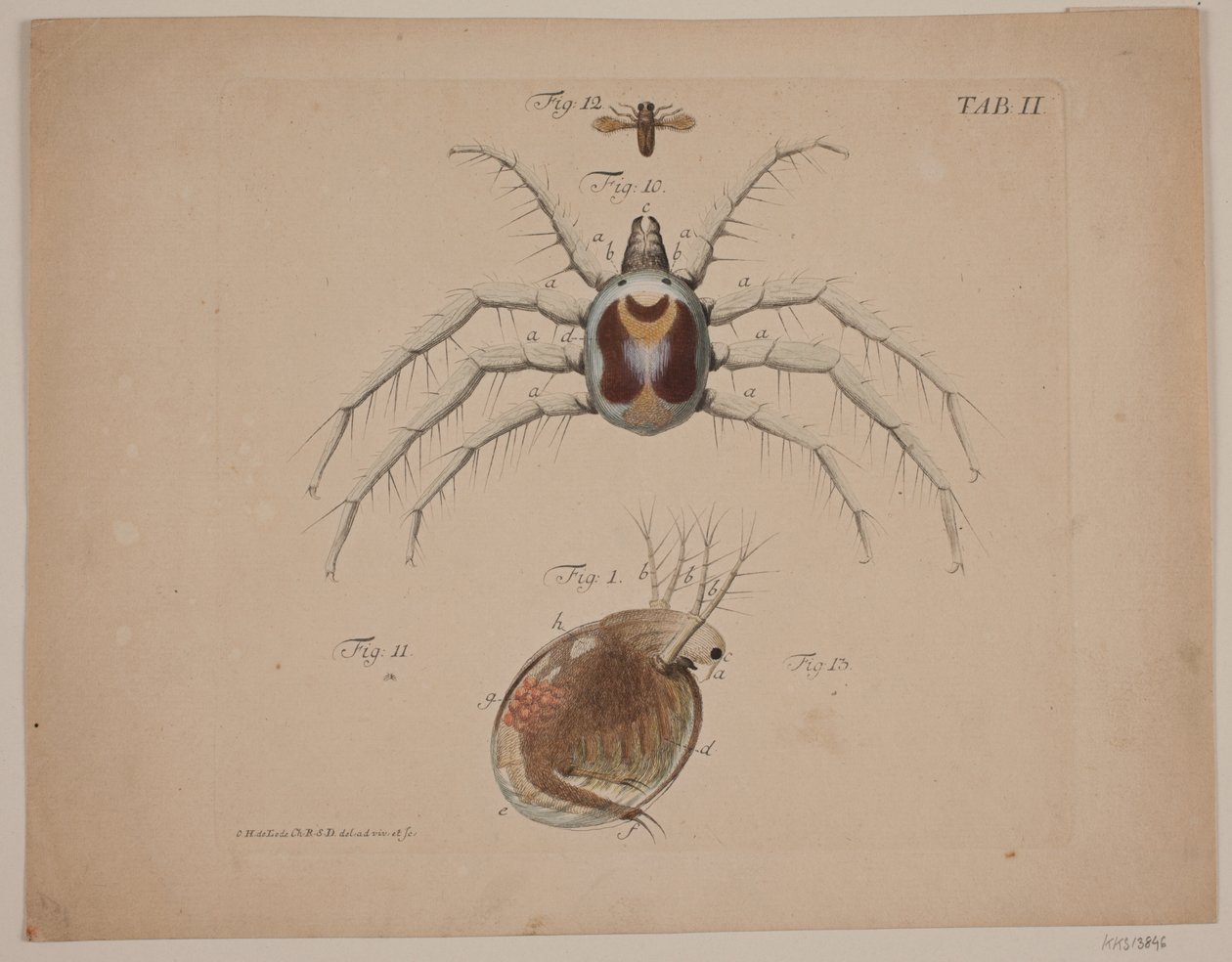 Insectes. Planche II de l