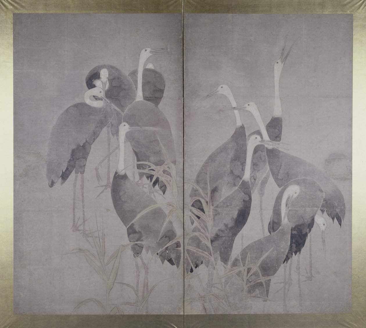 Onze grues femelles debout dans un lit de roseaux secs, vers 1700-50 - Ogata Korin