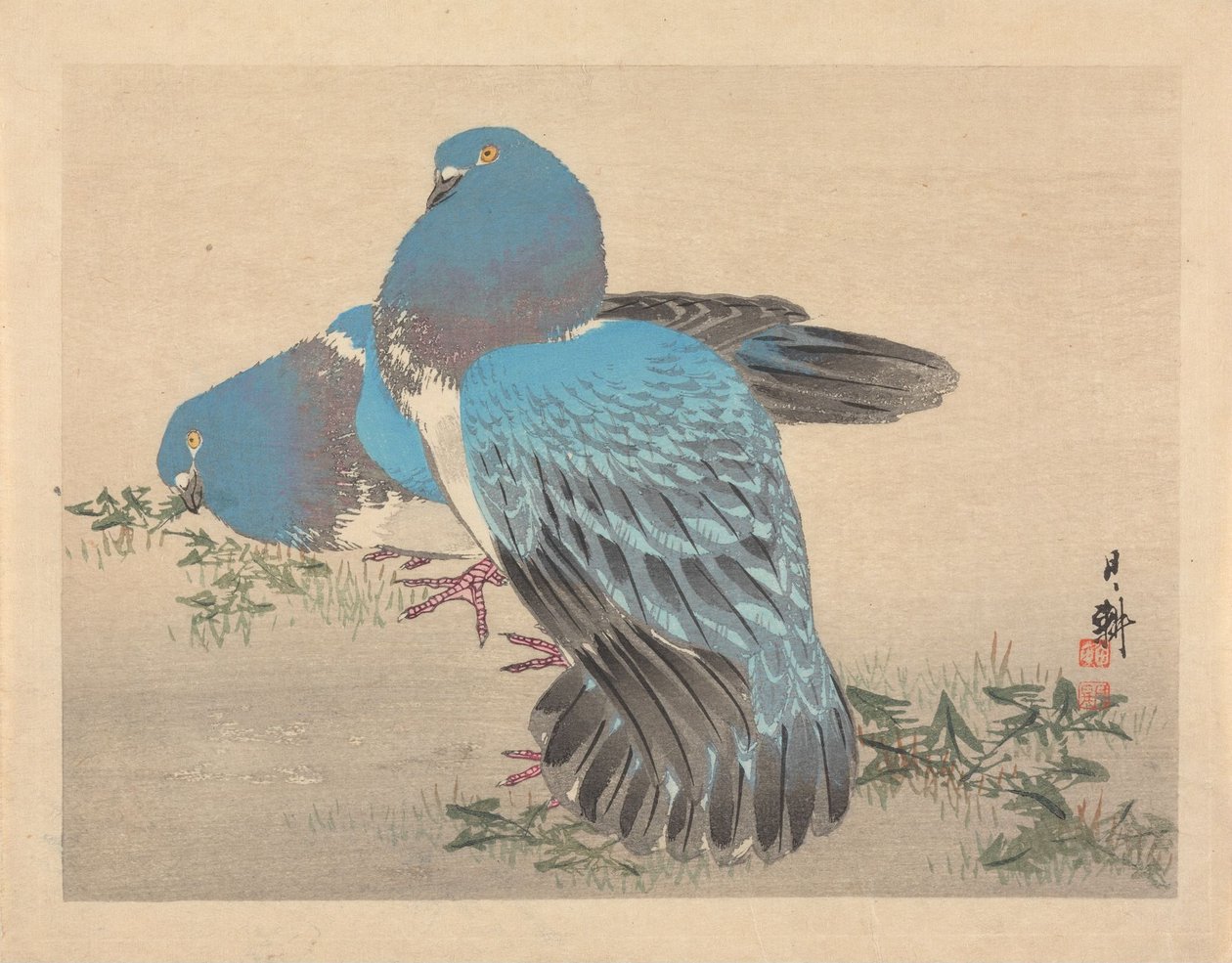 Pigeons - Ogata Gekko