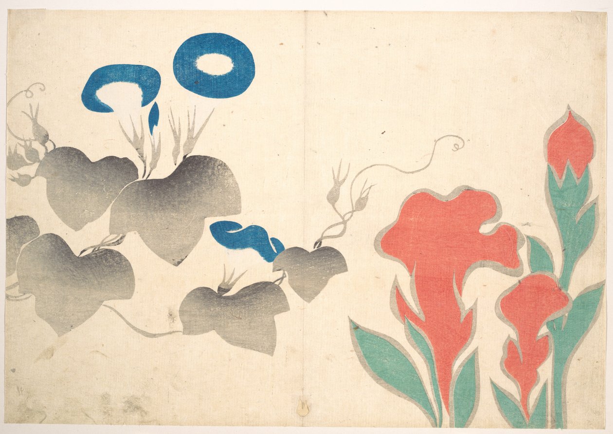 Motif de volubiles et autres fleurs - Ogata Korin