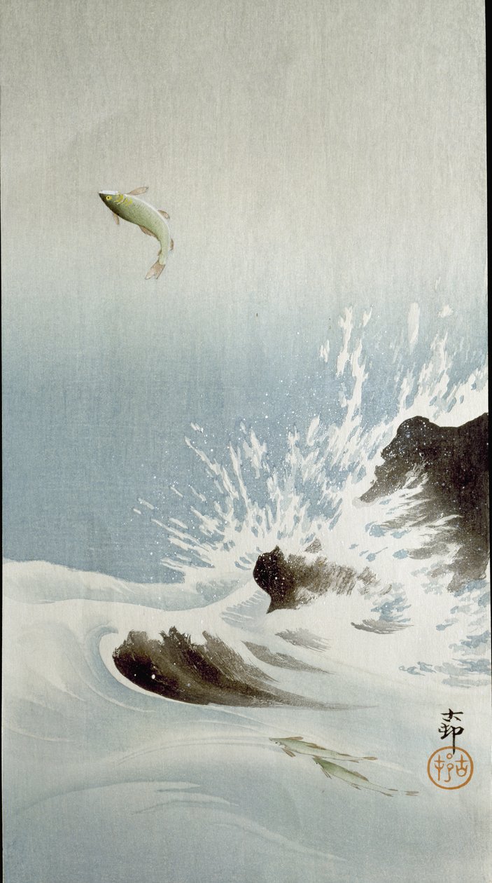 Un poisson sautant hors de l
