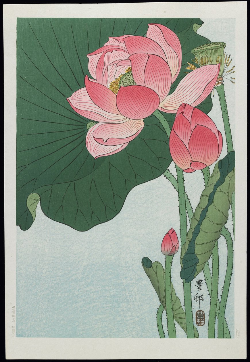 Lotus, années 1930 - Ohara Koson