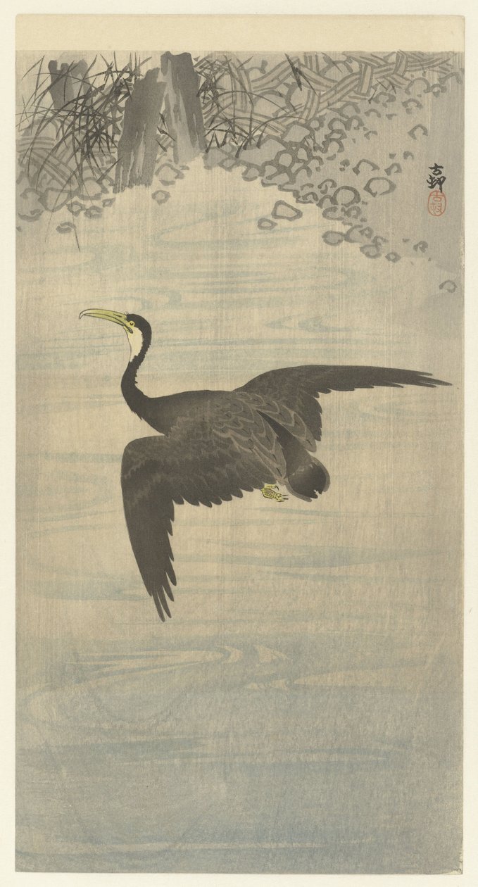 Cormoran en vol - Ohara Koson