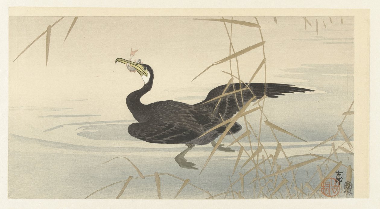 Cormoran avec poisson - Ohara Koson