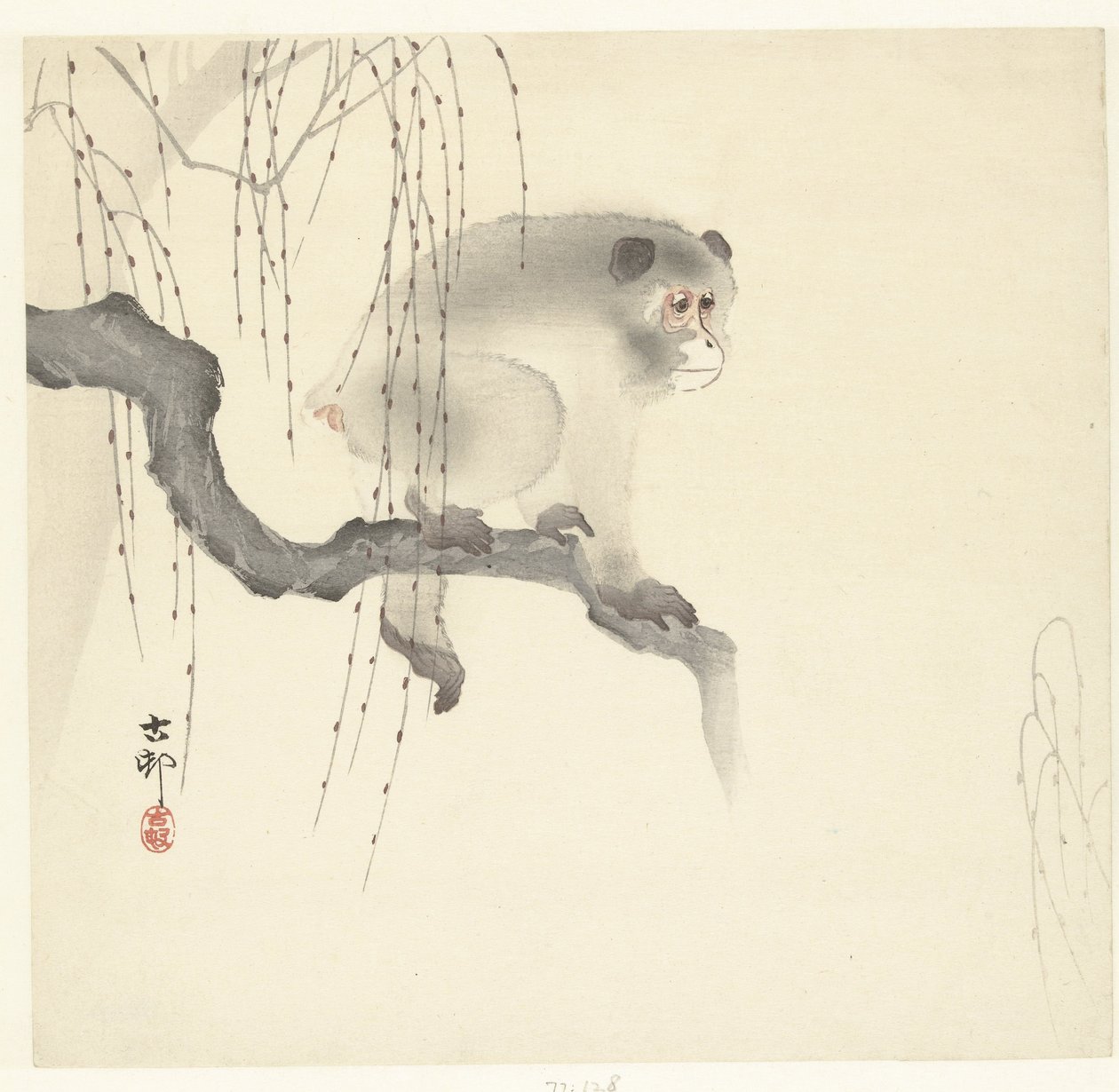 Singe sur une branche d