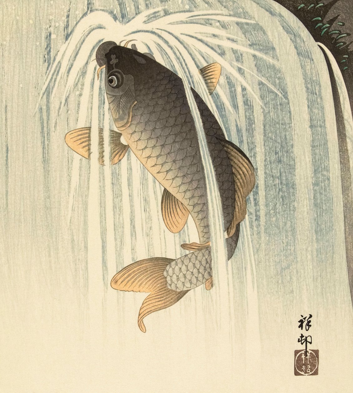 Carpes sous une cascade, par l