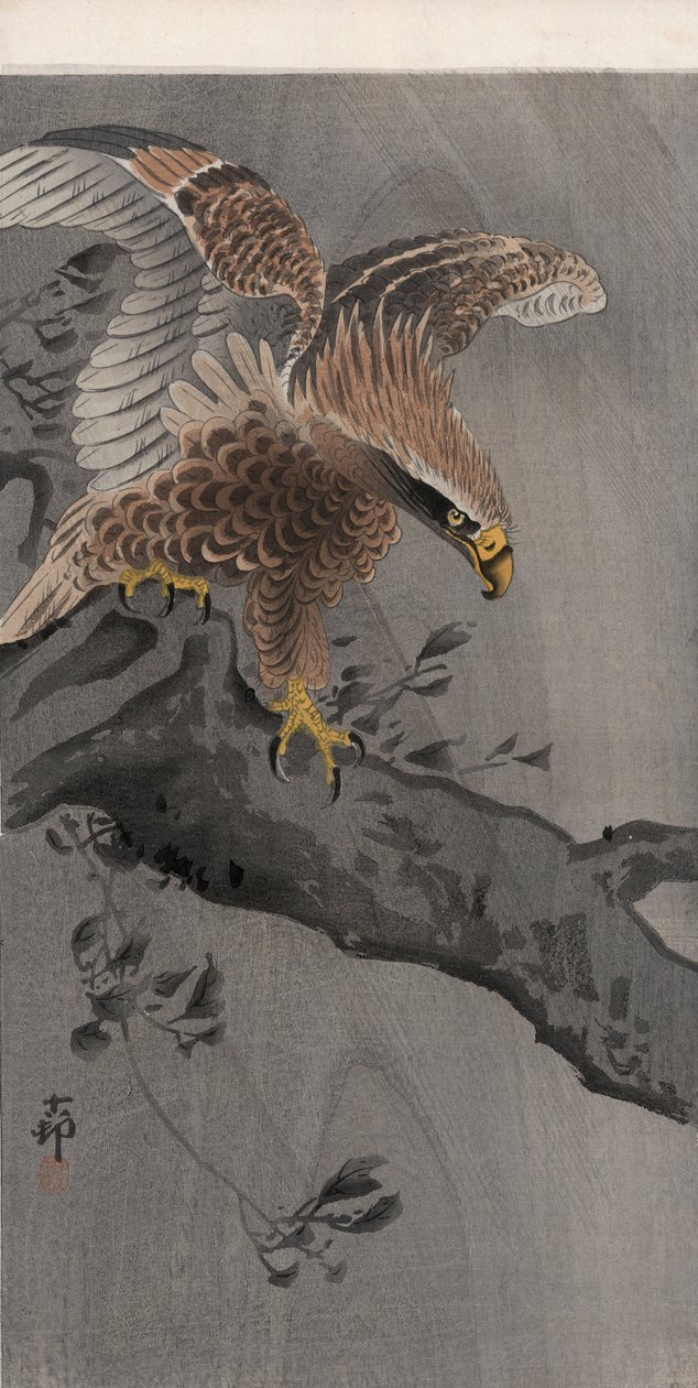 Aigle aux ailes déployées sur un tronc d