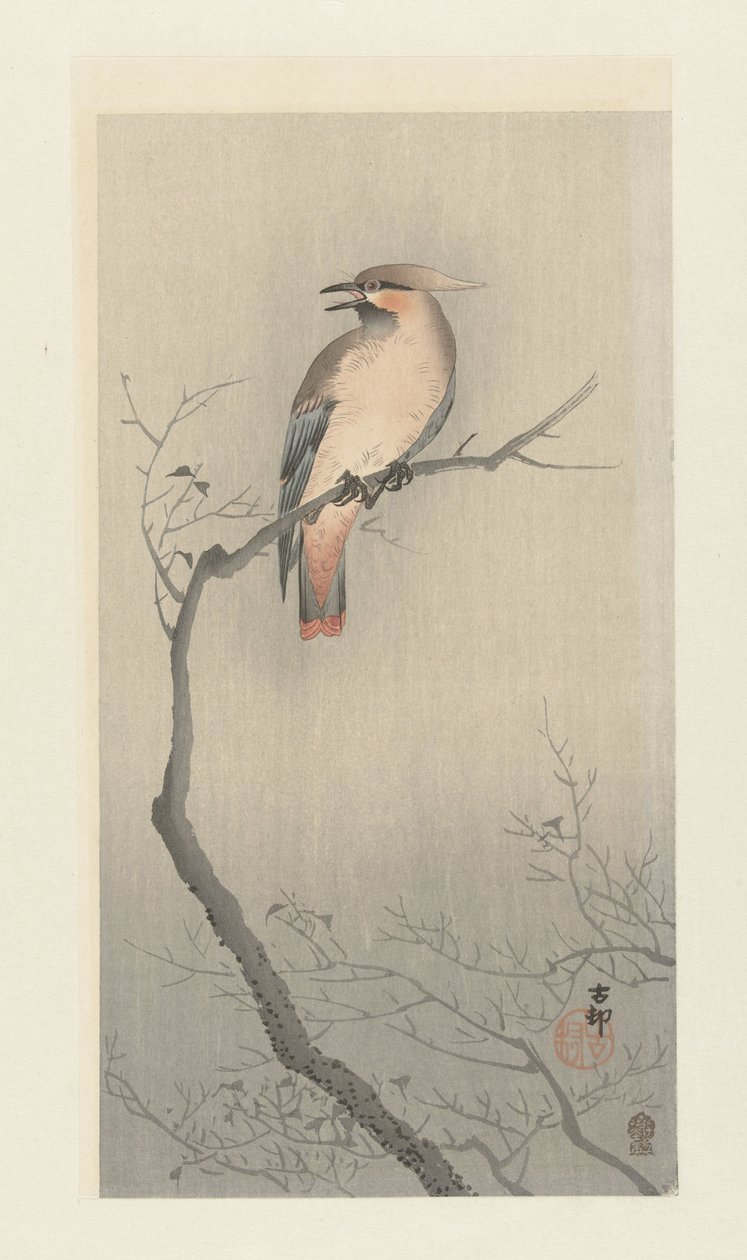 Oiseau japonais sur une branche - Ohara Koson