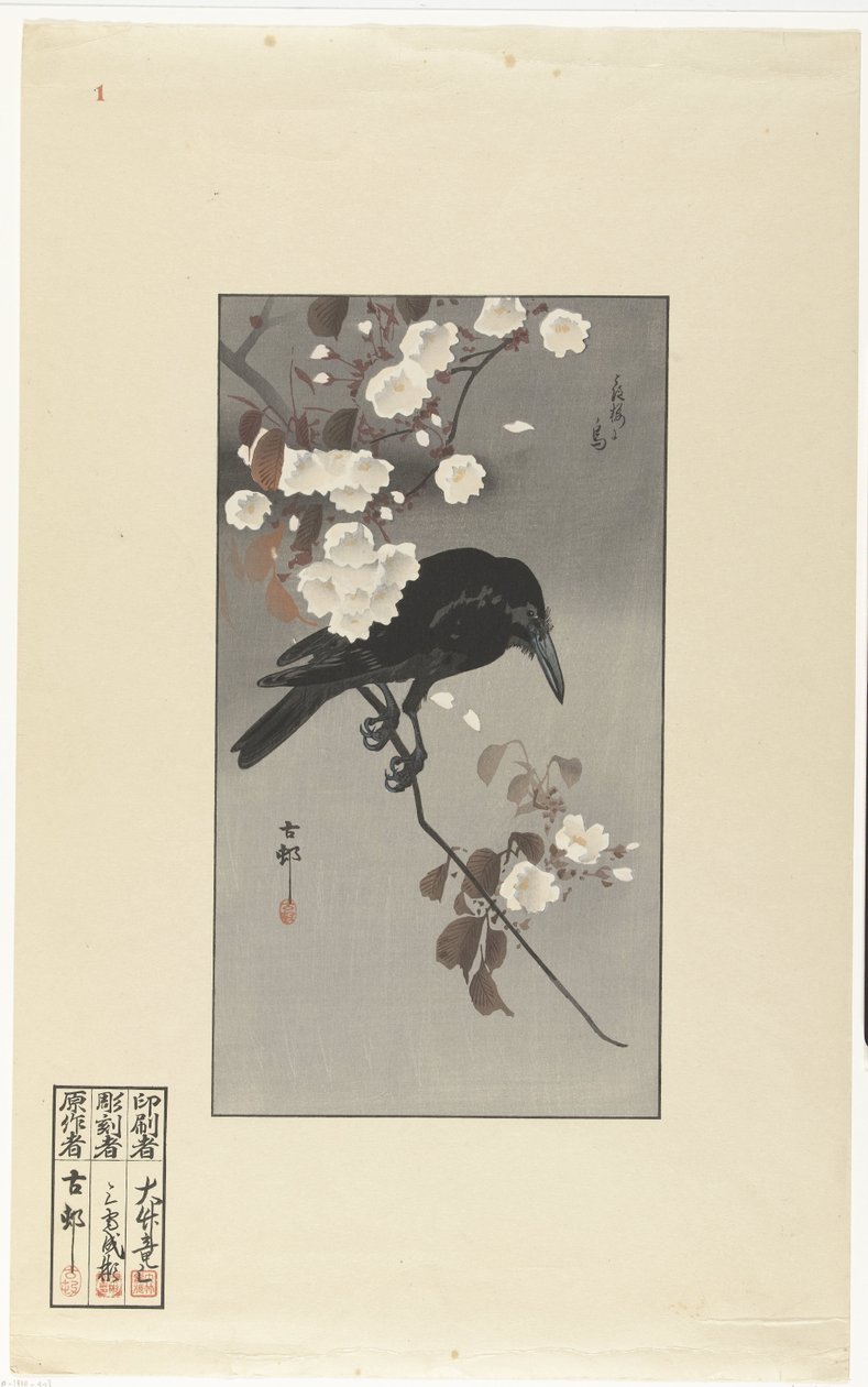 Corbeau et fleurs de cerisier - Ohara Koson