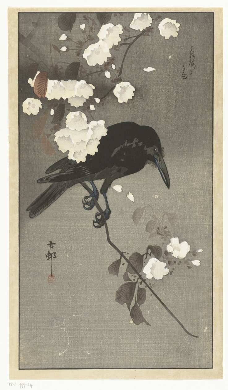 Corbeau avec fleur de cerisier - Ohara Koson