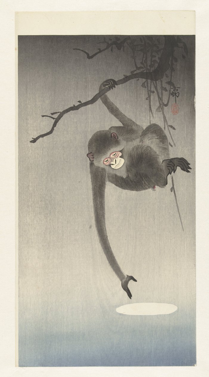 Singe atteignant le reflet de la lune - Ohara Koson