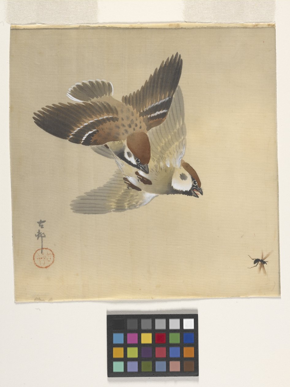 Moineaux chassant des insectes volants - Ohara Koson