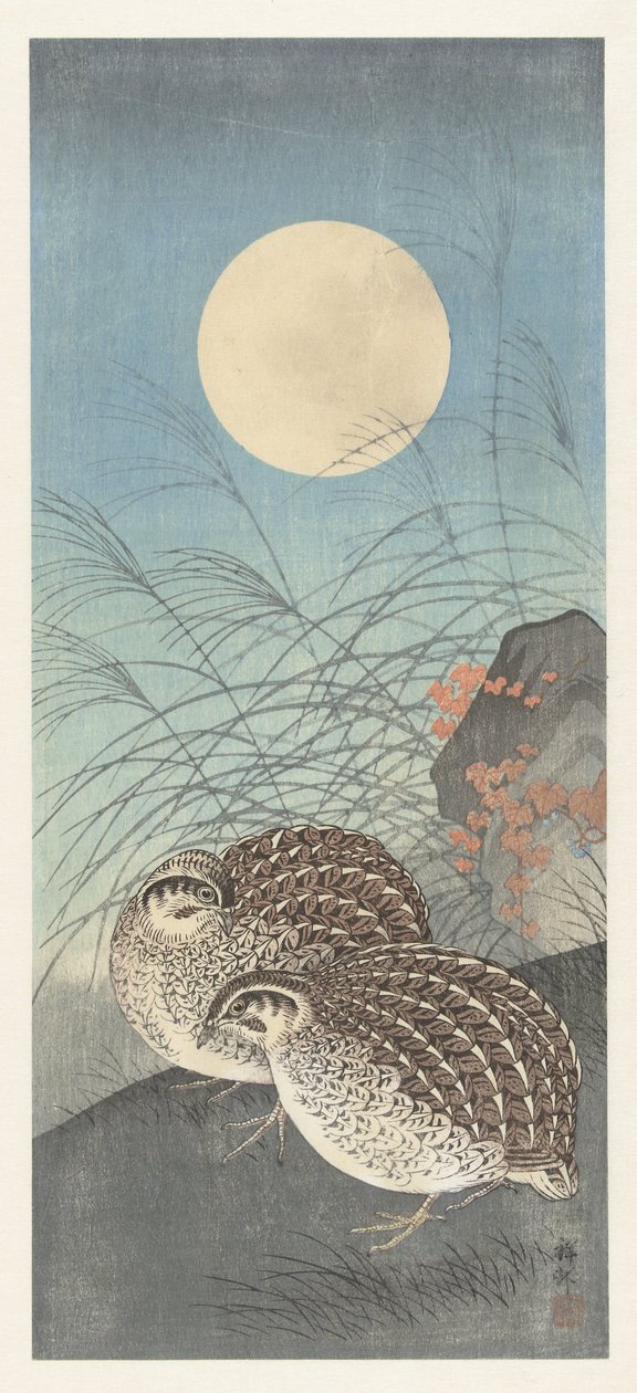 Deux cailles sous la pleine lune - Ohara Koson