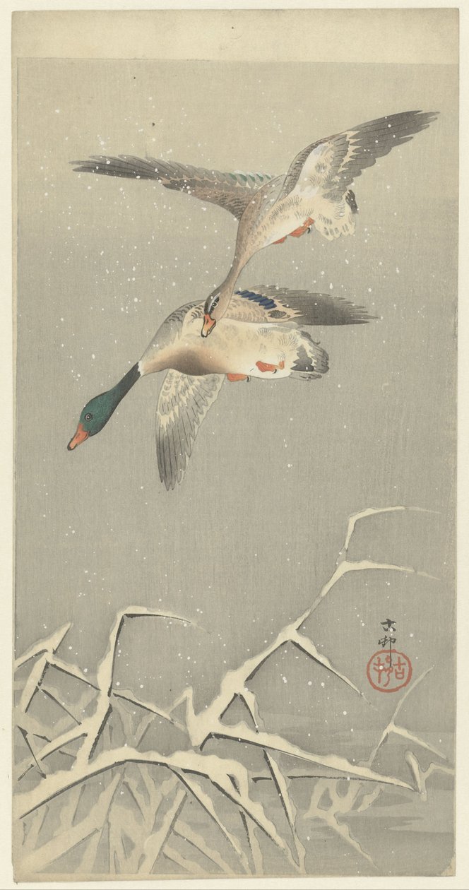 Deux canards sauvages en vol - Ohara Koson