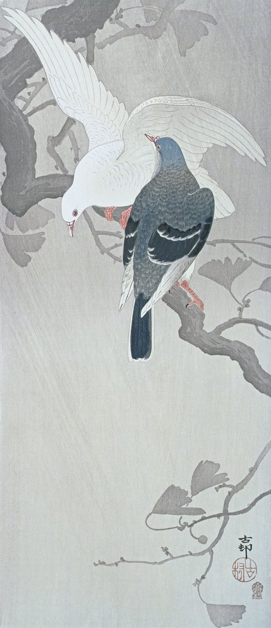 Deux colombes sous la pluie sur une branche de ginkgo - Ohara Koson