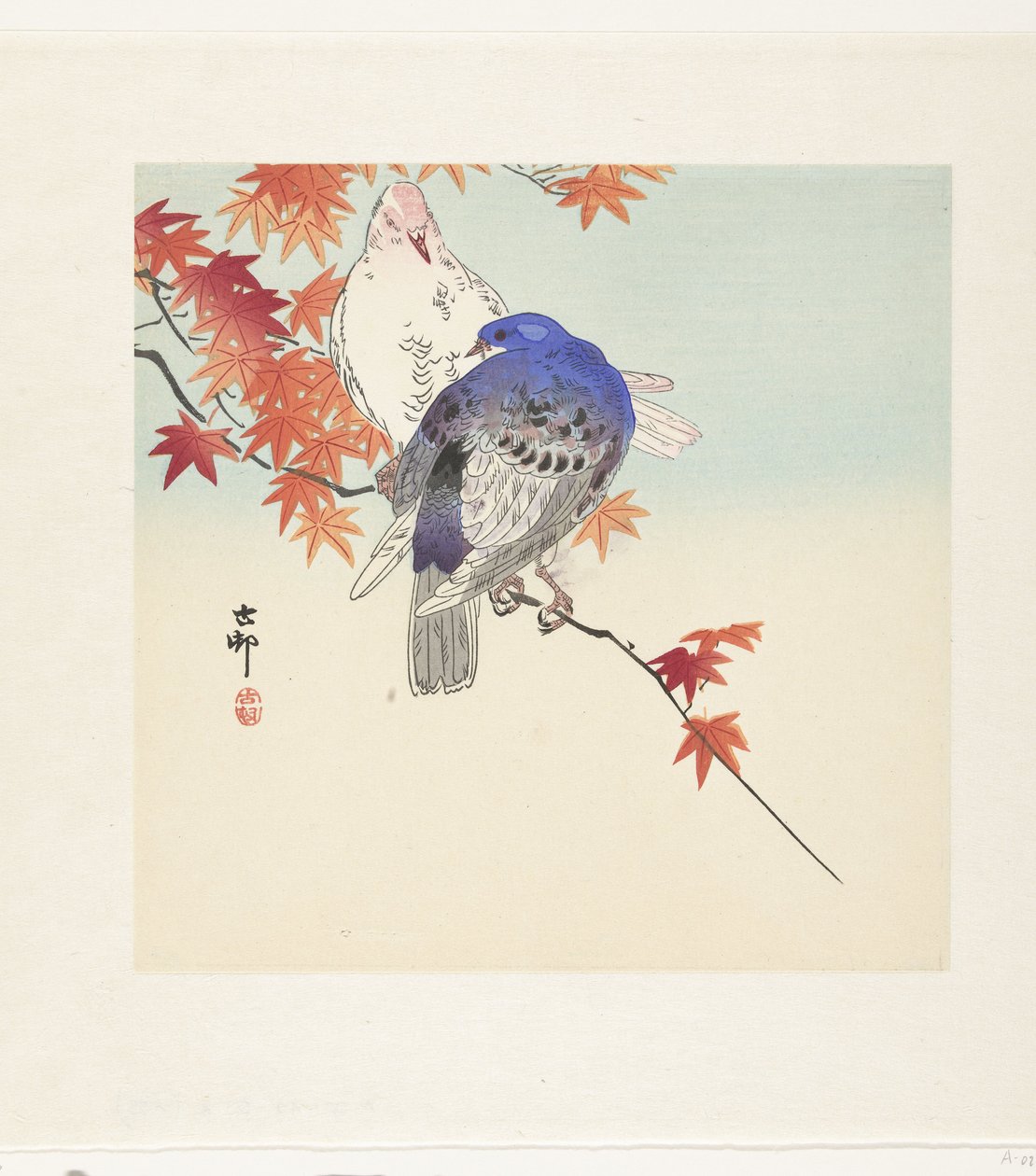 Deux pigeons sur une branche avec des feuilles d