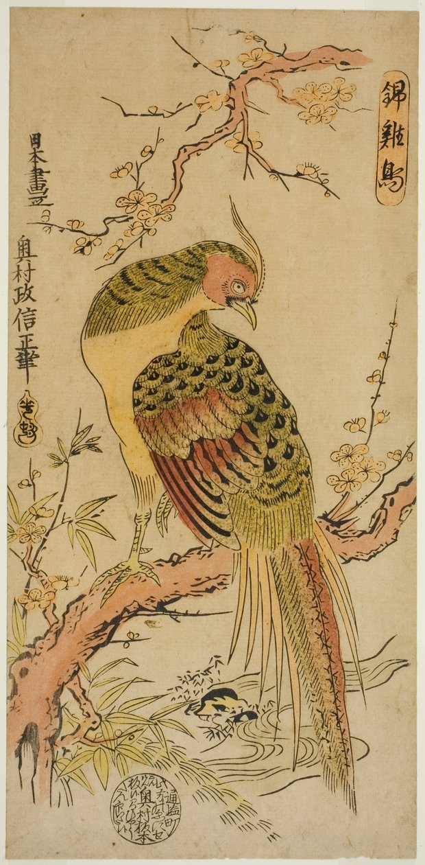 Faisan doré (Kinkeicho) - Okumura Masanobu