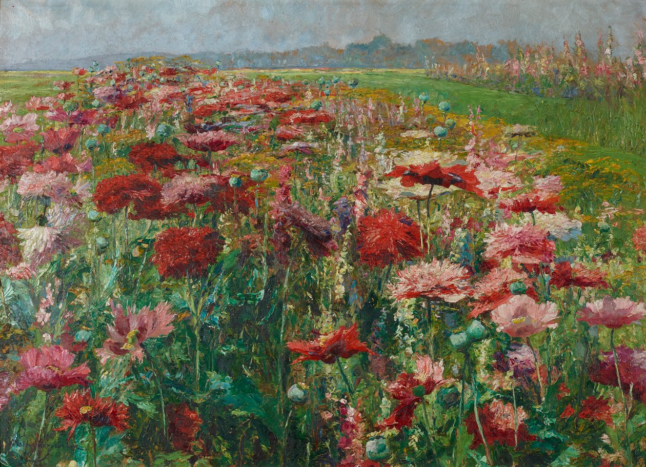 Coquelicots en fleurs - Olga Wisinger-Florian