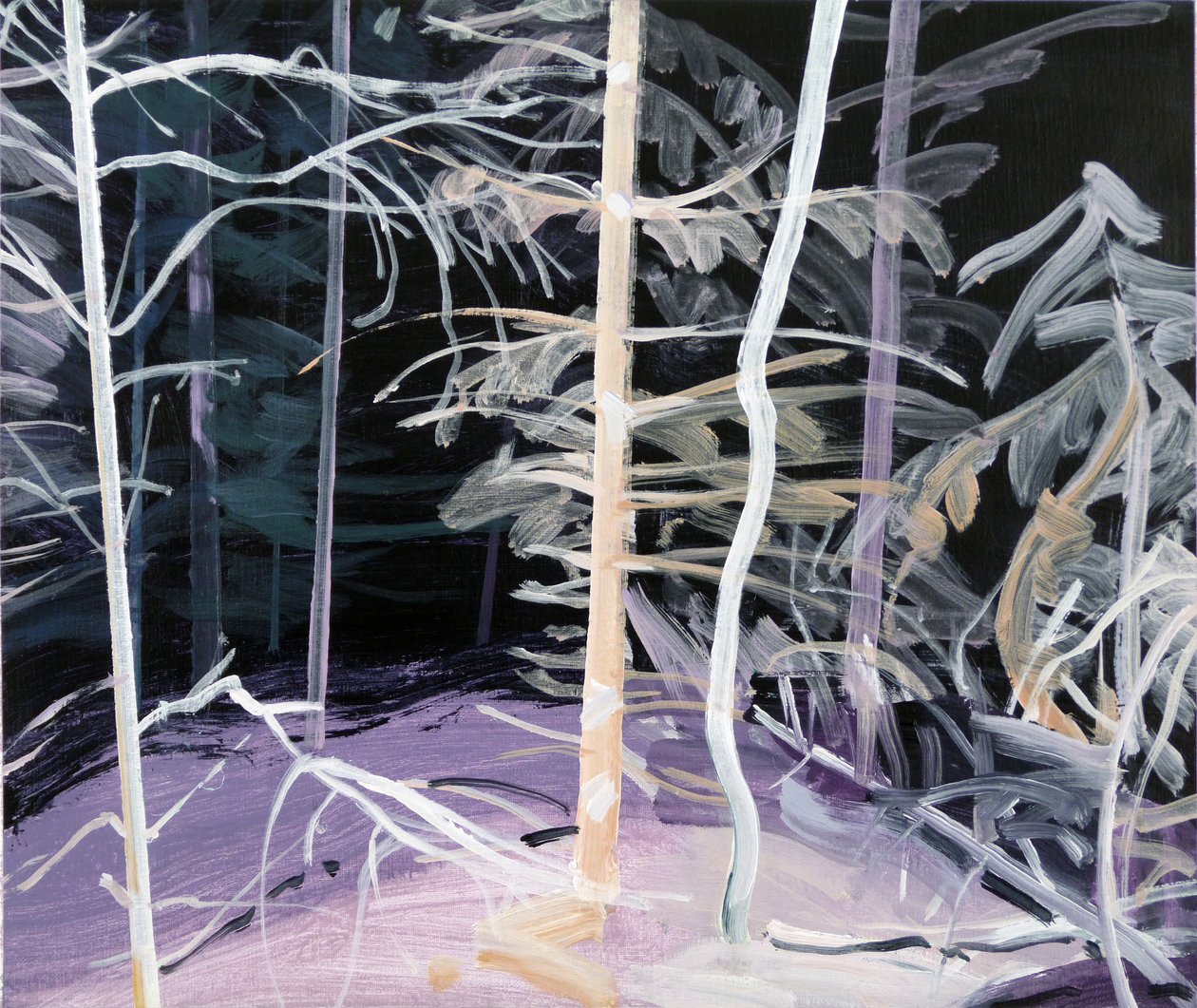 Forêt-noire 3 - Olivier Morel