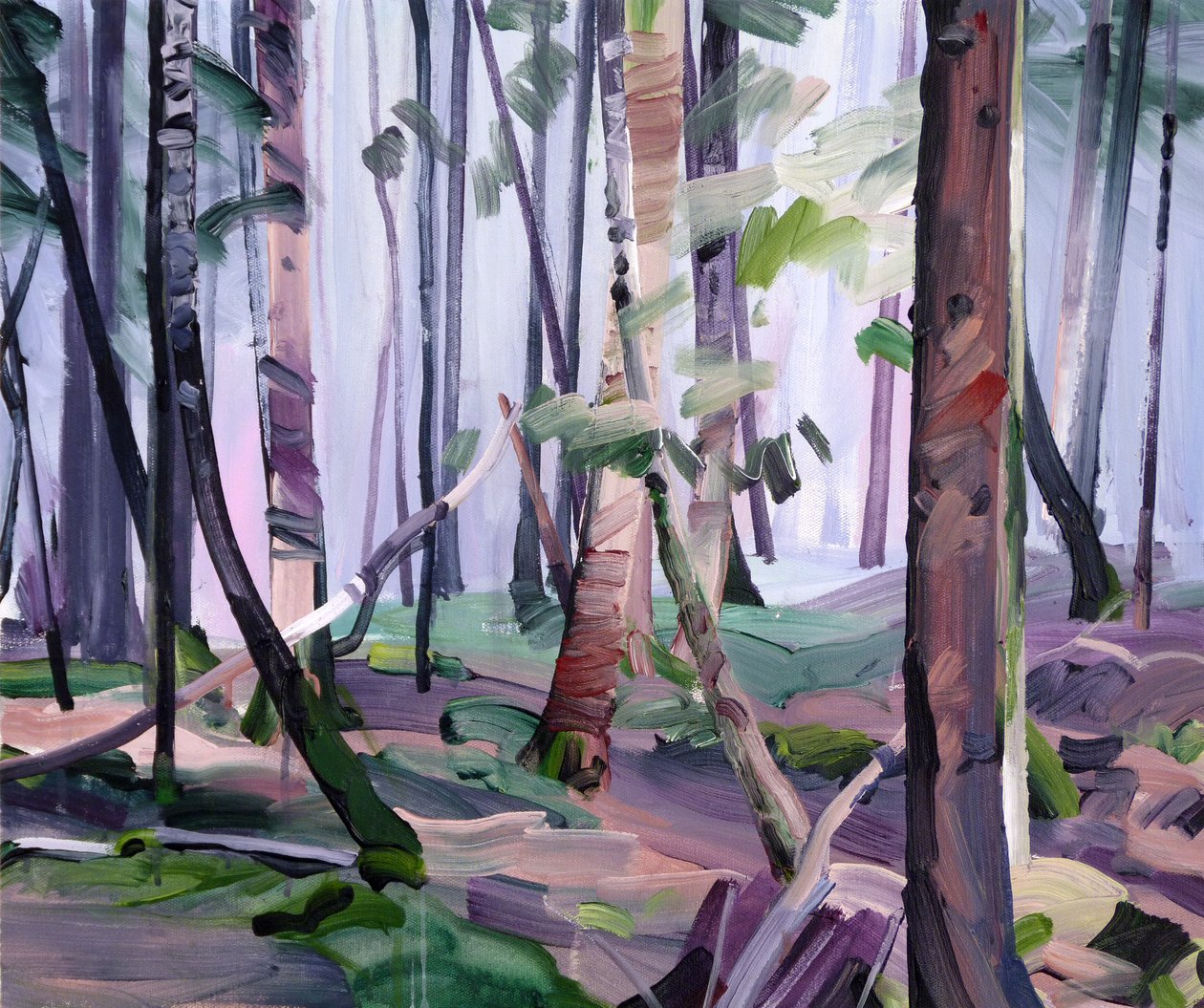 Forêt 22 - Olivier Morel