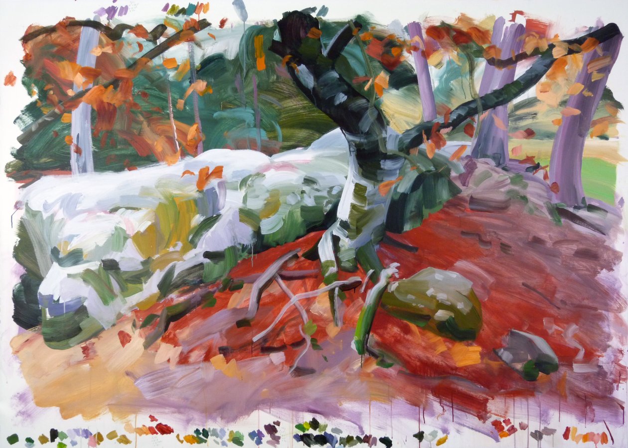 Forêt 36, 2018 - Olivier Morel