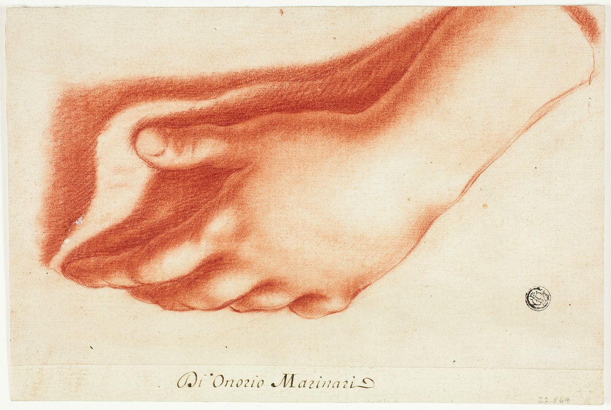 Moulage en plâtre de la main gauche - Onorio Marinari